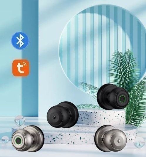 Khóa vân tay Bluetooth Tuya - 409 3