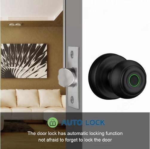 Khóa vân tay Bluetooth Tuya - 409 6